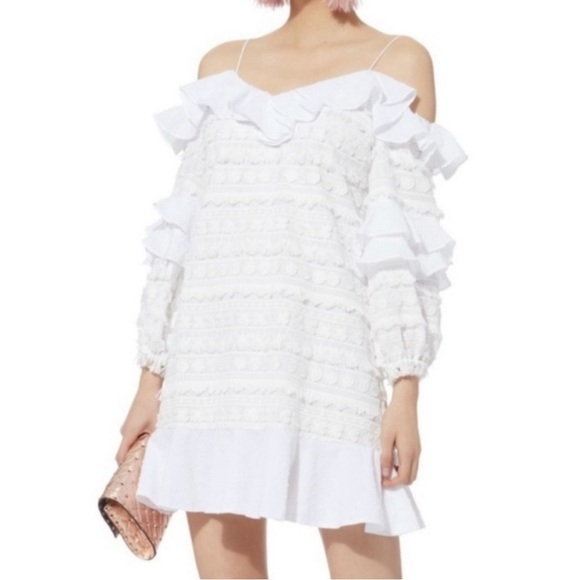 Alexis Calypso Ruffle Mini Dress - Picture 5 of 14